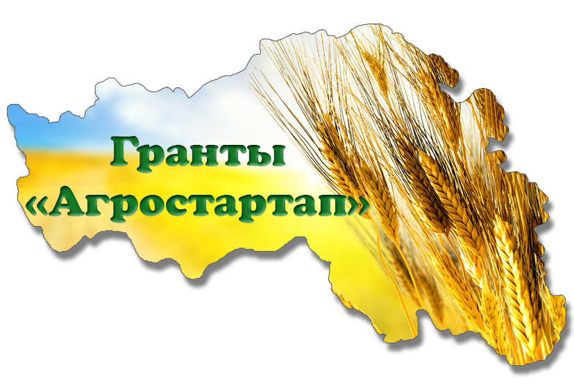 ФЕРМЕРЫ ДЮРТЮЛИНСКОГО РАЙОНА МОГУТ ПОДАТЬ ЗАЯВКУ НА ПОЛУЧЕНИЕ ГРАНТА