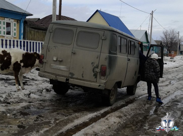 ПОЛИЦЕЙСКИЕ ЗАДЕРЖАЛИ ЛЖЕЭЛЕКТРИКОВ ИЗ ДЮРТЮЛИНСКОГО РАЙОНА